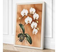 White Orchid Study Botanical Canvas Wall Art Print 30x20 Inch (76 x 51 cm)