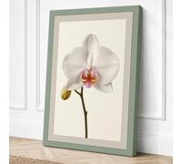 White Orchid Study Botanical Canvas Wall Art Print 30x20 Inch (76 x 51 cm)