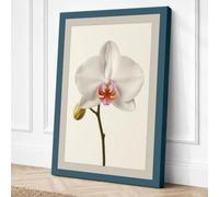 White Orchid Study Botanical Canvas Wall Art Print 30x20 Inch (76 x 51 cm)