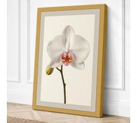 White Orchid Study Botanical Canvas Wall Art Print 30x20 Inch (76 x 51 cm)