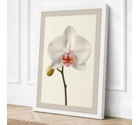 White Orchid Study Botanical Canvas Wall Art Print 30x20 Inch (76 x 51 cm)
