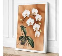 White Orchid Study Botanical Canvas Wall Art Print 30x20 Inch (76 x 51 cm)