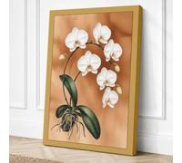 White Orchid Study Botanical Canvas Wall Art Print 30x20 Inch (76 x 51 cm)