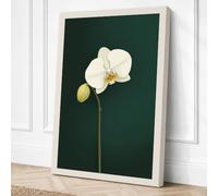 White Orchid Study Botanical Canvas Wall Art Print 30x20 Inch | Ready to Hang, Gallery Wrapped, Fade-Resistant Inks, Securely Packaged, UK Made