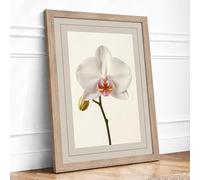 White Orchid Study Botanical Framed Wall Art Print A3 (42×29.7cm) Oak, Wall Decor for Living Room, Bedroom, Office & Home, Ready to Hang, Art Gift