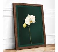 White Orchid Study Botanical Framed Wall Art Print A3 Walnut | Ready to Hang, Premium Gi Paper, Fade-Resistant Inks, Securely Packaged, UK Made