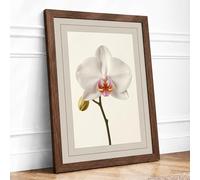 White Orchid Study Botanical Framed Wall Art Print A4 Walnut | Ready to Hang, Premium Gi Paper, Fade-Resistant Inks, Securely Packaged, UK Made