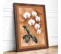 White Orchid Study Botanical Framed Wall Art Print A4 Walnut | Ready to Hang, Premium Gi Paper, Fade-Resistant Inks, Securely Packaged, UK Made