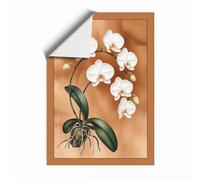 White Orchid Study Botanical Unframed Wall Art Print A2 (59.4×42cm), Wall Decor for Living Room, Bedroom, Office & Home, Art Gift