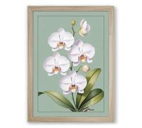 White Orchids in Bloom Botanical Framed Wall Art Print A1 (84.1×59.4cm) Oak, Wall Decor for Living Room, Bedroom, Office & Home, Ready to Hang, Art Gift