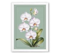 White Orchids in Bloom Botanical Framed Wall Art Print A1 (84.1×59.4cm) White, Wall Decor for Living Room, Bedroom, Office & Home, Ready to Hang, Art Gift