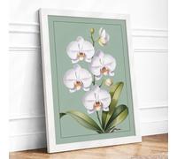 White Orchids in Bloom Botanical Framed Wall Art Print A1 White