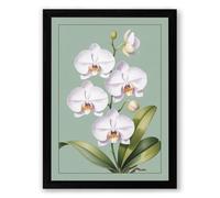 White Orchids in Bloom Botanical Framed Wall Art Print A2 (59.4×42cm) Black, Wall Decor for Living Room, Bedroom, Office & Home, Ready to Hang, Art Gift