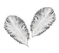 White Ostrich Feathers x 5 (Approx 5 to 7 inches) Crafts, Sewing, Costuming, Millinery etc