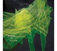 White Out With Nels Cline - Accidental Sky