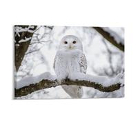 White Owl 3D Wall Art Canvas Prints - Picture Painting - Wild Animals Modern Wall Artwork for Bathroom Home Kitchen Office Decor 20x30inch(50x75cm)