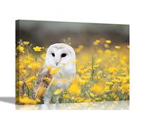 White Owl around Yellow Flowers Canvas Wall Art Prints Bird Pictures Animal Artwork Home Bedroom Garden Decor Framed Posters Extra Large 101 x 76cm (40 x 30 inches)