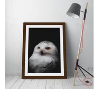 white owl in darkness Stunning Framed Wall Art Print Picture - A1 - Walnut Frame