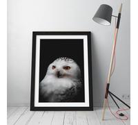 white owl in darkness Stunning Framed Wall Art Print Picture - A2 - Black Frame