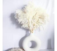 White Pampas Grass for Home Decor - Elegant Boho Decor - Premium Quality Pampas Grass Stems - Perfect for House, Nursery, Western, Wedding, Table, and Bohemian Decor (20PCS)