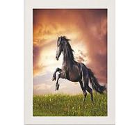 White Panoramic Picture Frame Photo Frame Poster Frame Glass Real Wood 70 x 50cm