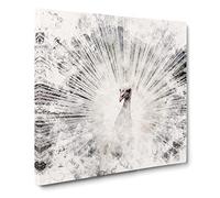 White Peacock Watercolour Canvas Print | Gallery Wrapped 30mm Frame Wall Art | 14x14 inches | Ready to Hang | Modern Picture | Living Room Bedroom Lounge Office