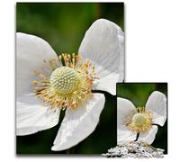 White Perennial Flower 1000 Pieces Puzzle Gifts Wooden Jigsaw Puzzles Perfect Home Or Office Decor Ideal 1000 PCS(75x50cm)