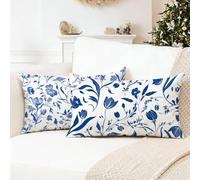 White Pillow Cases 2 Pack 25 x 45 cm Blue Cushion Covers,Decorative Pillows, Nvisible Zipper Cushion Inserts, Double Sided High-Definition Printing Sofa Cushions, Decor is Give Gifts for Women 0R-99