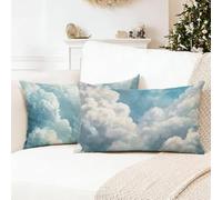 White Pillow Cases 2 Pack 40 x 80 cm Blue Home ation Design Cushion Covers,for Study Room,Living Room,Farmhouse,Bedroom ,Machine Washable,Breathable Soft and Quality Fabric Home Textiles 0R-113