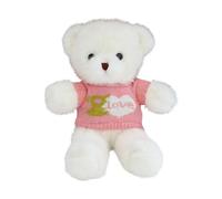 White Plush Teddy Bear, Ultra-Soft Cute Bear Throw Pillow, Valentine's Day Bear Series Pillow, for Valentines Wedding Anniversary Birthday Gift for Kids Girls Girlfriend Wife Mom (White)