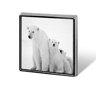 White Polar Female Bear with Two Cubs on Ice Black White Pattern Square Badge Smooth Surface Lapel Tie Pin, Lightweight Badge for Women Men Office Worker Nurse Teacher Student Shirts Backpack