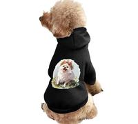 White Pomeranian Dog with Flower Crown Printed Pet Hoodie Clothes Warm Dog Hoodie Suit Cute Outfits Clothes for Dogs Cats