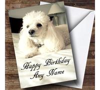 White Poodle Personalised Birthday Card | Birthday Card | Animals, Wildlife & Pets Card