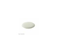 White Post Motor Filter Pad for Dyson DC07 DC07i DC14 DC14i Vacuum Cleaner