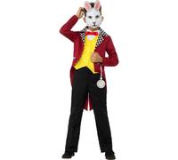 White Rabbit Costume, Boys Fancy Dress, Medium Age 7-9