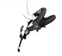 White Reaper The World's Best American Band (CD) (US IMPORT)