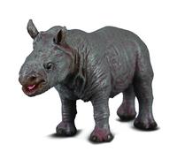 White Rhinoceros Calf