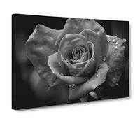 White Rose Flower No.1 Canvas Print | Gallery Wrapped 30mm Frame Wall Art | 30x20 inches | Ready to Hang | Modern Floral Picture | Living Room Bedroom Lounge Office