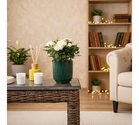White Rose Plant in Forest Ceramic Pot - Indoor Houseplant with Pot Included - Luxe Leaf Plants