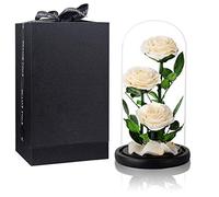 White Roses Handmade Preserved Real Rose in Glass Dome, Long Lasting Roses Never Withered Gifts for Her, Valentine's Day, Mother's Day, Birthday, Christmas, Anniversary(13 inch)