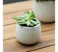 White Round Plant Pot Cover - Small, Chunky Crackle Glaze Ceramic Planter, White Plant Pot, Rustic Planter, Indoor Glazed Plant Cover for Houseplants, Succulents, Flowers, Herbs & Cacti