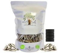 White Sage Clusters Loose Leaves with Charcoal Discs for Easy Burning, Smudging, Energy Cleansing, 100% Pure Organic & Sustainable (3 Oz, White Sage Leaves)