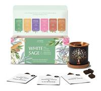 White Sage Smokeless Incense Brick Gift Set & Tree of Life Burner Aromafume