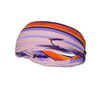White Sands National Park and berry in The Tularosa Basin New Mexico Headbands Men Women Non Slip Wicking Sports Sweatband for Gym Basketball Yoga Hairbands