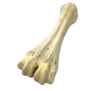White Shank Bone x 5 Natural Dog Treats Chews