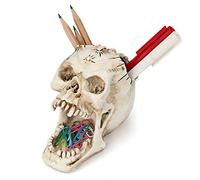 White Skull Pen Holder Office Desktop Ossuary Skulls Decor Halloween Decorations Skeleton Head Stationery Holder