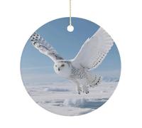 White Snowy Owl Double-Sided Ceramic Christmas Ornaments - Round Hanging Mini Xmas Tree Decorations, Ideas for Farmers, Rustic Home Decor for Indoor Outdoor Tree Decor