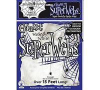 White Spiders Web & Spider