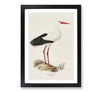 White Stark by Von Wright Framed Print | A2 Black Framed Wall Art | Ready to Hang | Modern Nature Picture | Living Room Bedroom Lounge Office