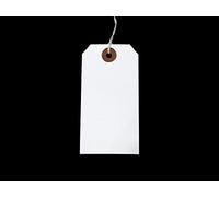 White Strung Tags 120mm x 60mm Reinforced Luggage Tags Tie On String Labels (100 Pack) Ivy